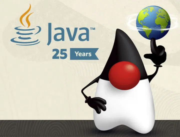 Java 25. Yıl