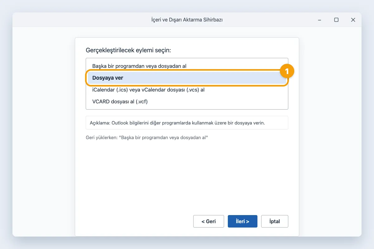 İçeri ve Dışarı Aktarma Sihirbazı, Dosyaya ver seçeneği vurgulu